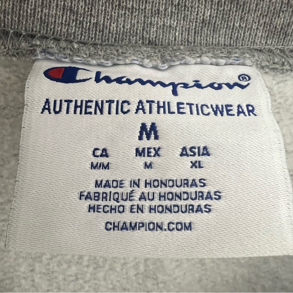 Champion High Point University Panthers Gray Crewneck Sweatshirt - Picture 5 of 10